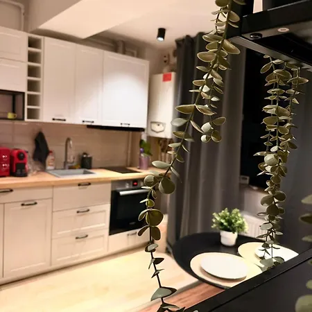 Cozy Apartment With Self Check-In Near Promenada Mall And Verdi Park 布加勒斯特 Exterior photo