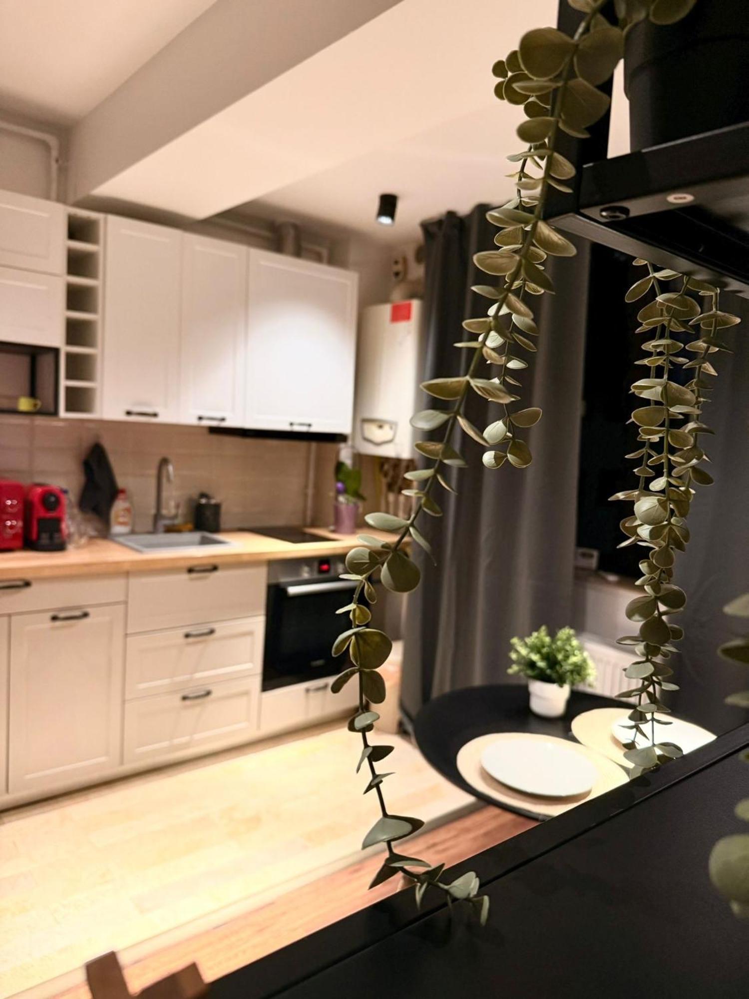 Cozy With Self Check-in Near Promenada Mall And Verdi Park 布加勒斯特